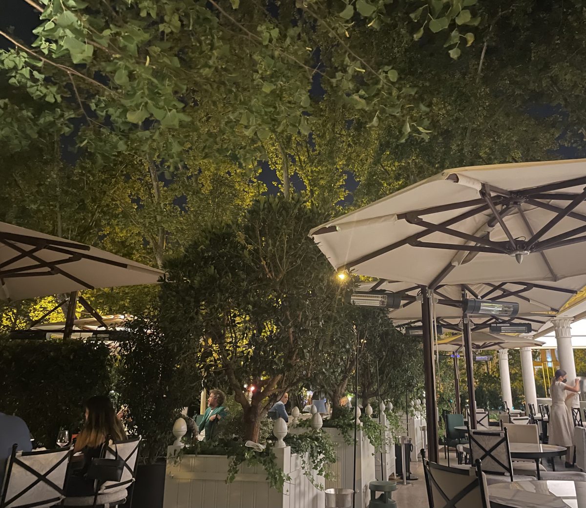 un-rinc-n-en-el-mundo-el-jard-n-del-ritz-madrid